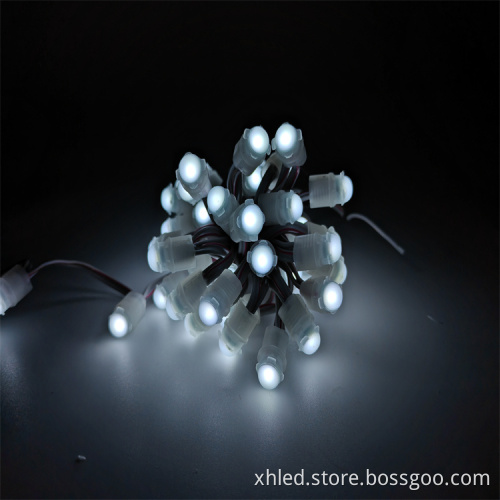 Outdoor Waterproof LED Pixel Light 0.2W DC12V IP67 Single Color for Advertising Signs